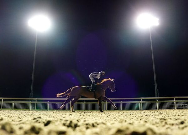 Monday tips: Five to keep onside at Plumpton and Wolverhampton | Racing News Monday tips: Five to keep onside at Plumpton and Wolverhampton | Racing News