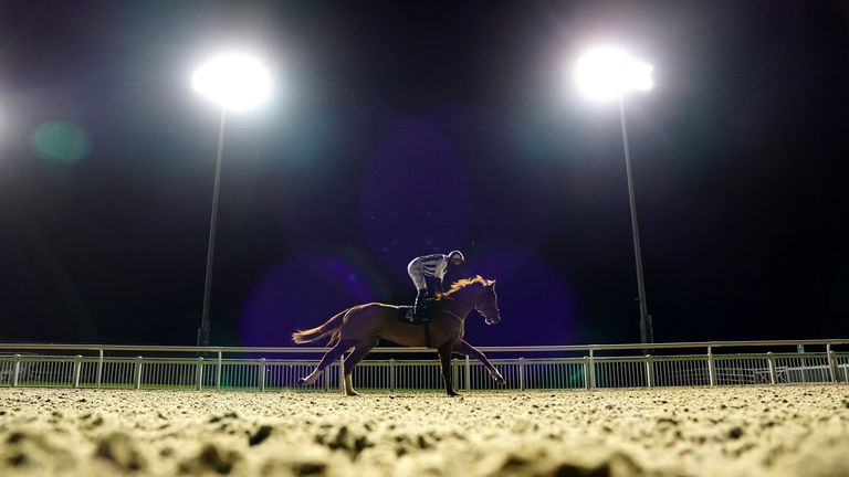 Monday tips: Five to keep onside at Plumpton and Wolverhampton | Racing News Monday tips: Five to keep onside at Plumpton and Wolverhampton | Racing News