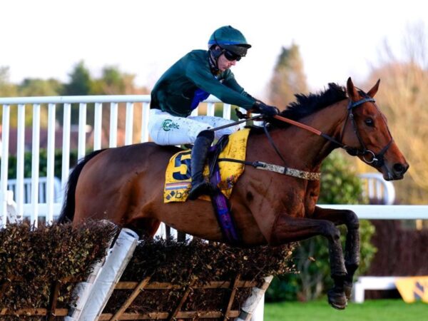 Moore expects big run from Spirit D'Aunou in Betfair Hurdle