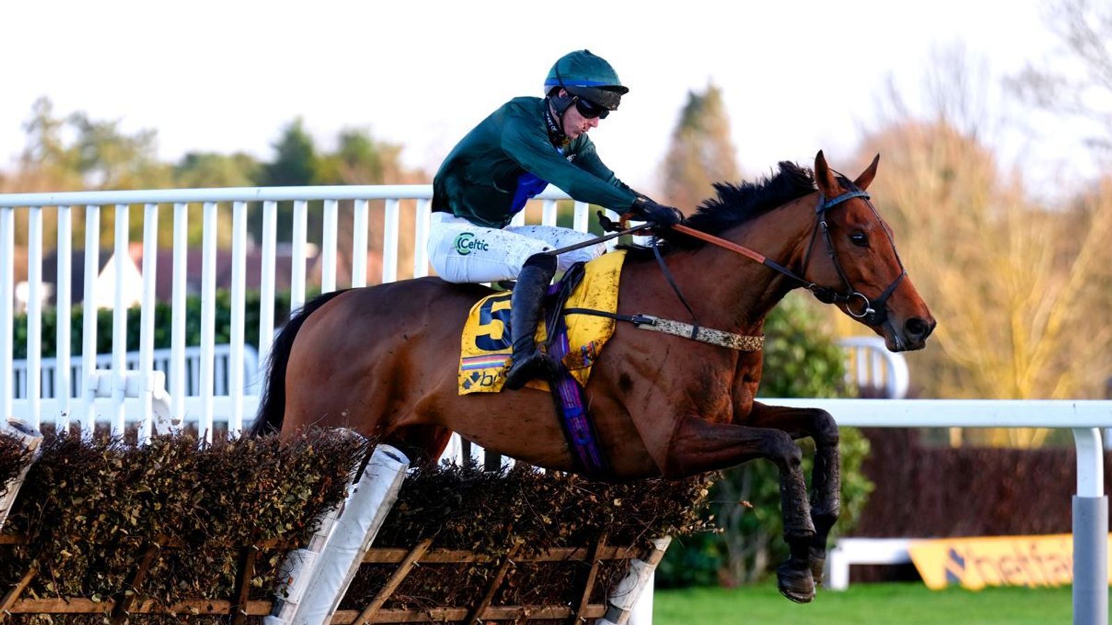 Moore expects big run from Spirit D'Aunou in Betfair Hurdle Moore expects big run from Spirit D'Aunou in Betfair Hurdle