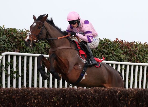 Paul Nicholls stable tour: Ginny’s Destiny and Stay Away Fay star for Ditcheat’s Cheltenham Festival squad | Racing News