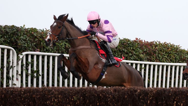 Paul Nicholls stable tour: Ginny’s Destiny and Stay Away Fay star for Ditcheat’s Cheltenham Festival squad | Racing News Paul Nicholls stable tour: Ginny’s Destiny and Stay Away Fay star for Ditcheat’s Cheltenham Festival squad | Racing News