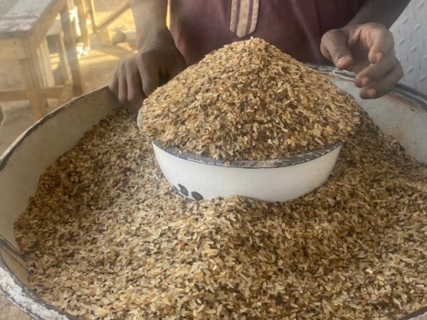 People turn to ‘throw-away’ rice for food