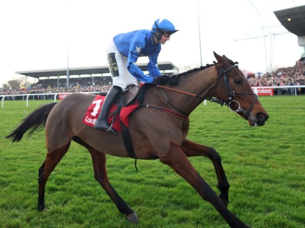 Today on Sky Sports Racing: Classy novice Giovinco aims to get back to winning ways at Newcastle | Racing News