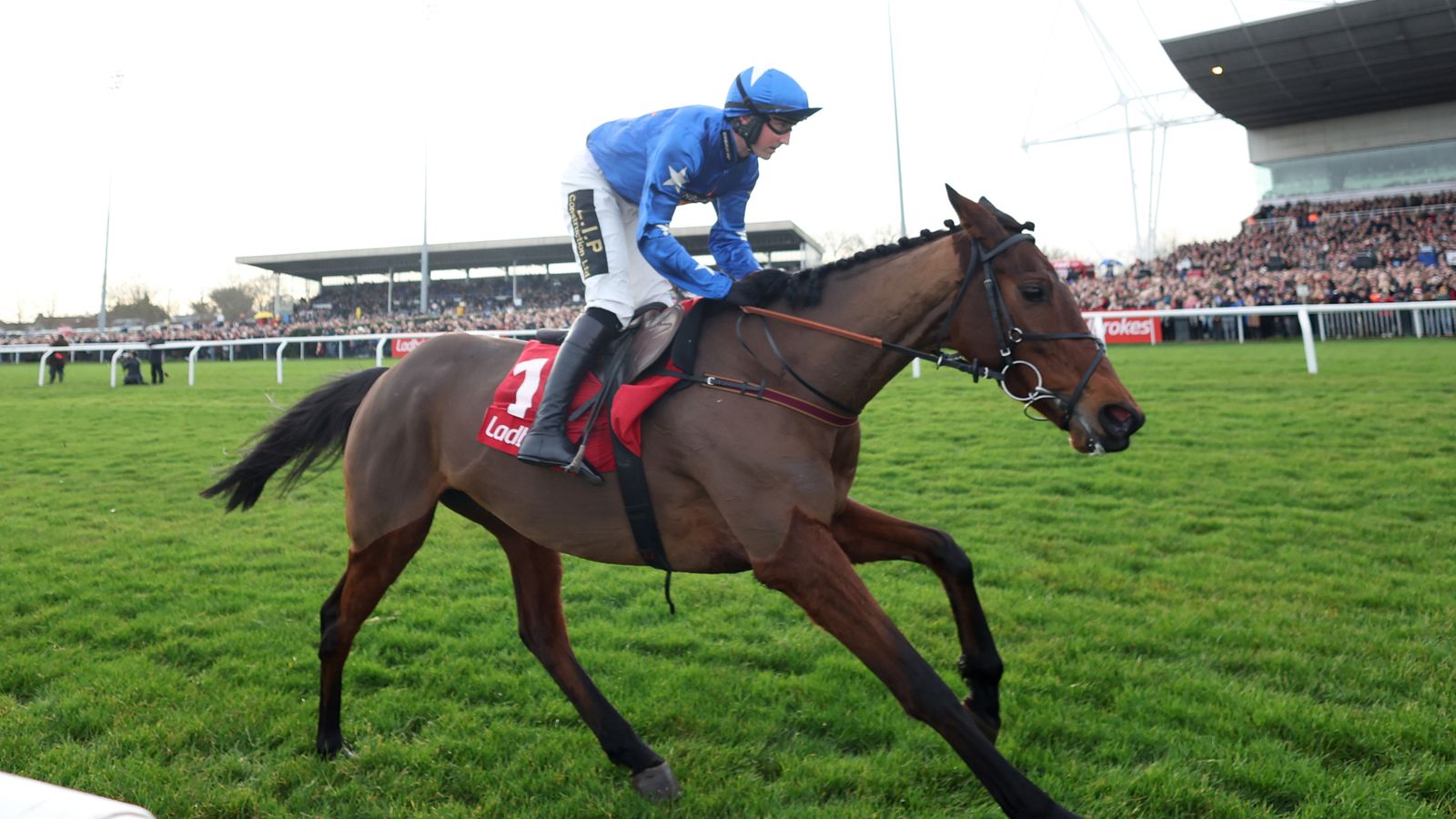 Today on Sky Sports Racing: Classy novice Giovinco aims to get back to winning ways at Newcastle | Racing News Today on Sky Sports Racing: Classy novice Giovinco aims to get back to winning ways at Newcastle | Racing News