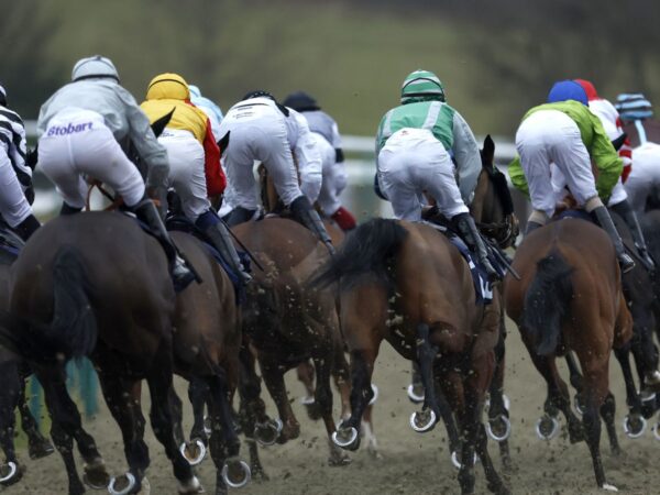 Today on Sky Sports Racing: Epsom Faithful, Lardo and McLean House bid to add to their winning tally | Racing News