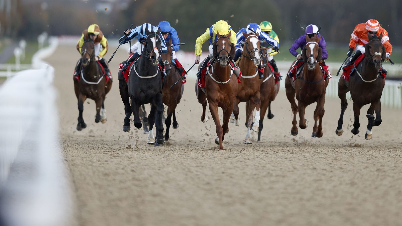 Today on Sky Sports Racing: Asgard’s Captain on the hat-trick hunt at Newcastle | Racing News