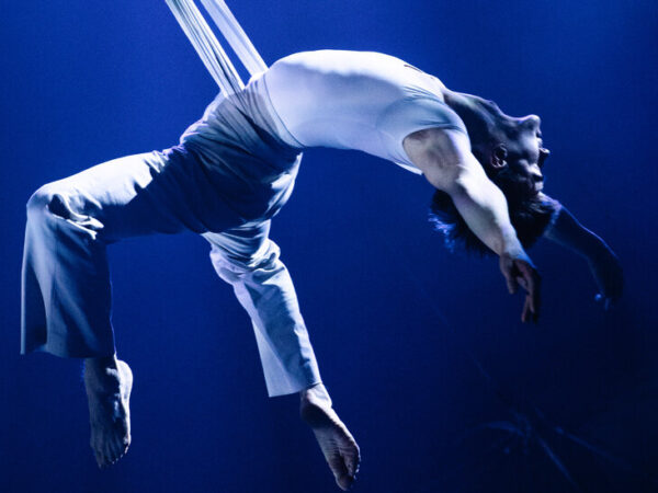 ‘Water for Elephants’ Brings the Circus to Broadway