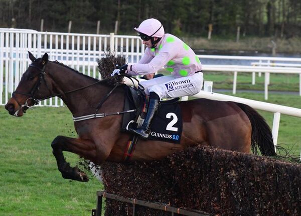 Cheltenham Festival Day One Tips: Jamie Codd’s 50/1 Boodles selection and Champion Hurdle pick! | Racing News