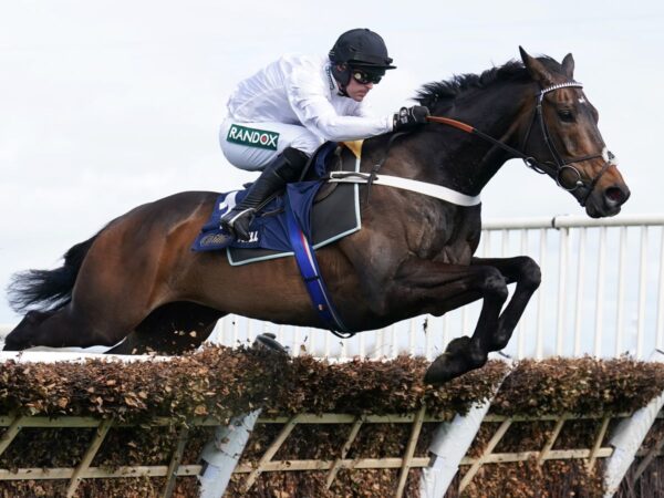 Constitution Hill ruled out of Champion Hurdle at Cheltenham Festival | Racing News