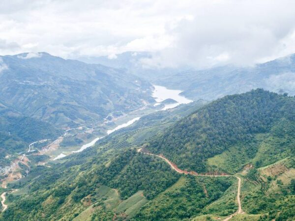 ‘Cryptic’ creature — with blue lips and orange tongue — discovered as new species