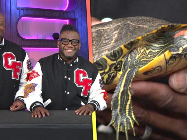 Dr. Hodges and Dr. Ferguson Celebrate 6 Seasons (Exclusive)