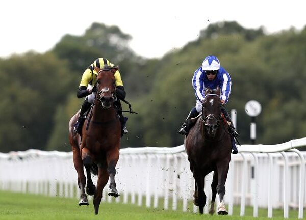 Finals Day tips: Simon Mapletoft’s seven selections for big day at Newcastle | Racing News