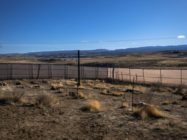 How a ‘Body Farm’ Might Help Tackle Fentanyl Abuse