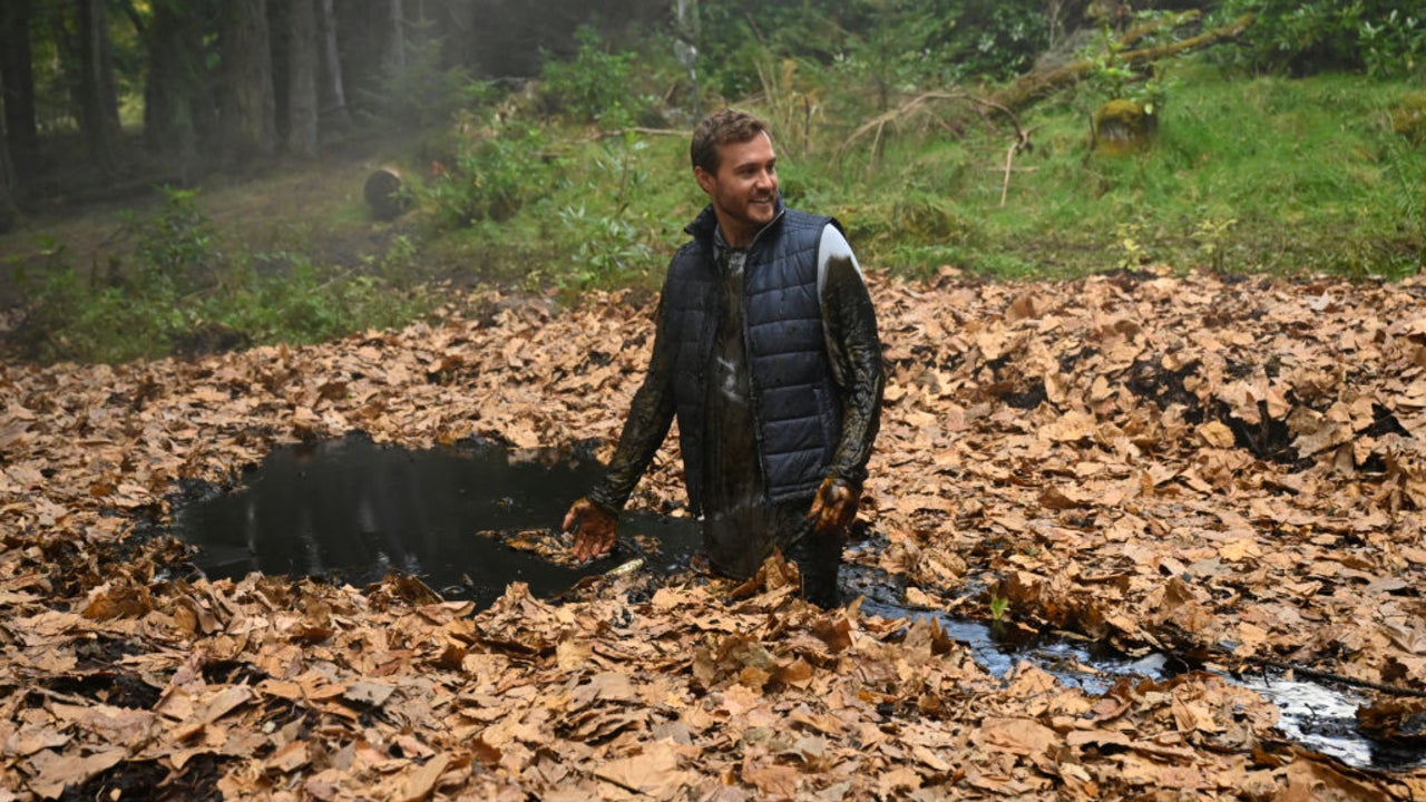 Peter Weber Says He Would Love to See These Bachelor Nation Members On ‘The Traitors’ (Exclusive) Peter Weber Says He Would Love to See These Bachelor Nation Members On ‘The Traitors’ (Exclusive)