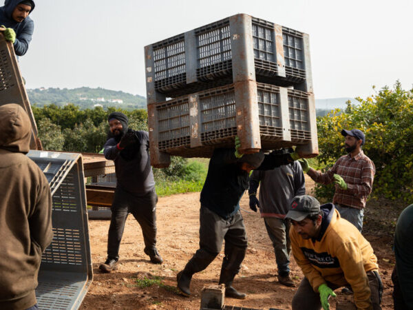 Portugal Had Little Appetite for the Far Right, Until Chega