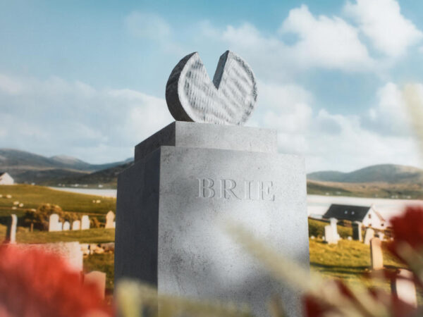 Sacre bleu! Camembert and brie ‘on the verge of extinction,’ French scientists warn