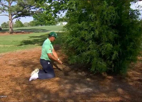 Texas Children’s Houston Open: Scottie Scheffler maintains under-par streak in strong start | Golf News