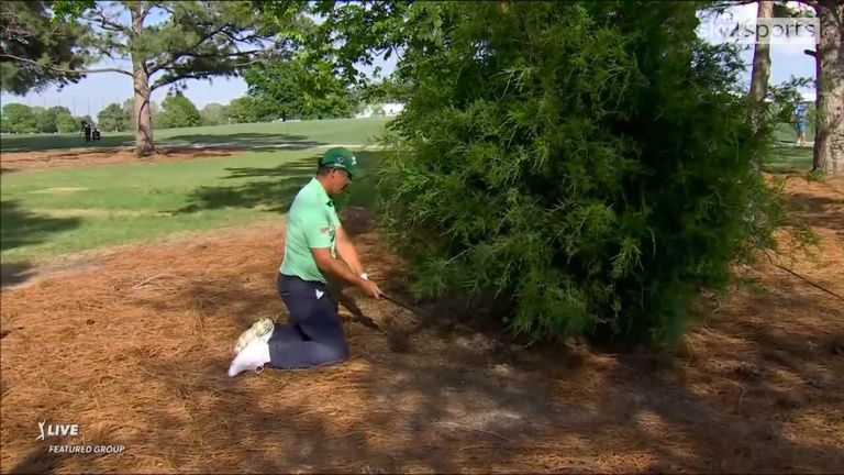 Texas Children’s Houston Open: Scottie Scheffler maintains under-par streak in strong start | Golf News