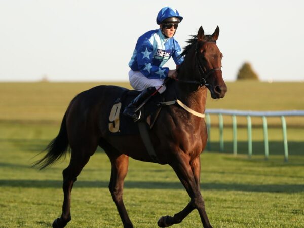 Today on Sky Sports Racing: Danielsflyer looks to deny Star Shield in Newcastle feature | Racing News