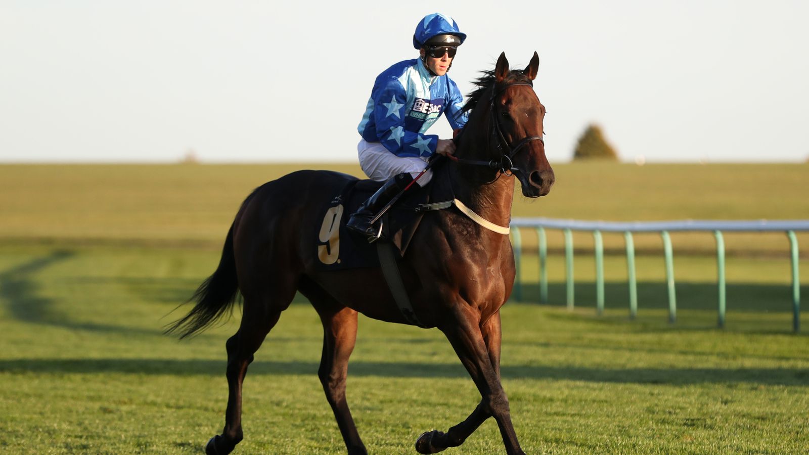 Today on Sky Sports Racing: Danielsflyer looks to deny Star Shield in Newcastle feature | Racing News