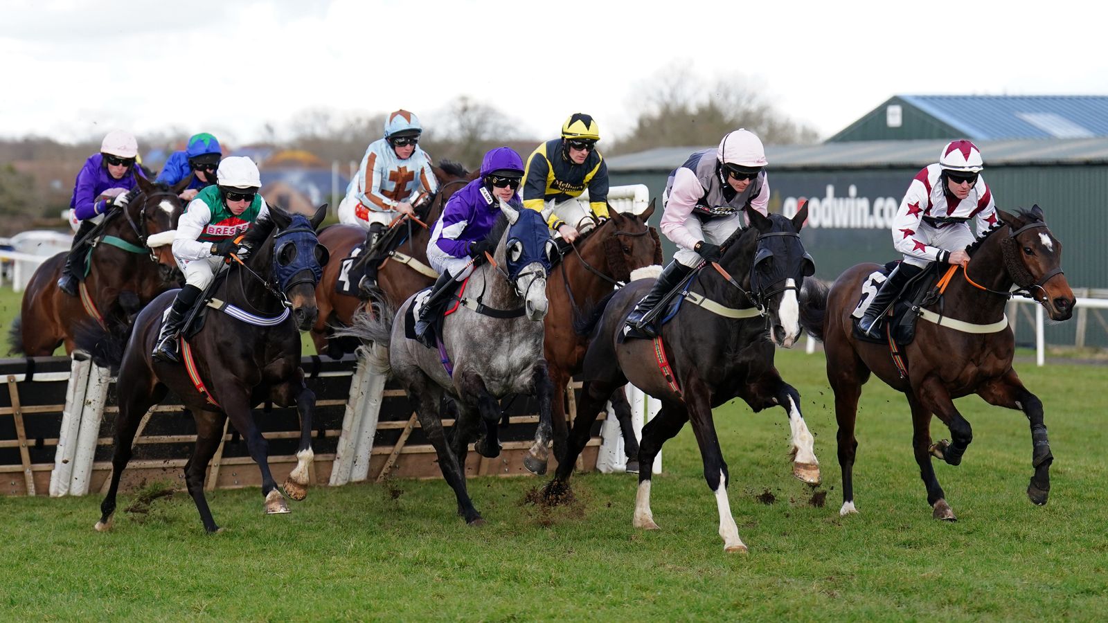 Today on Sky Sports Racing: Sir Rock bids for a hat-trick at Plumpton | Racing News Today on Sky Sports Racing: Sir Rock bids for a hat-trick at Plumpton | Racing News