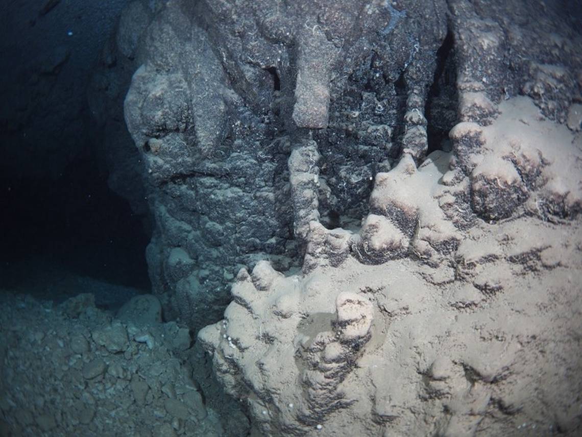 ‘Unusual’ creature found in dark underwater cave turns out to be a new species. See it ‘Unusual’ creature found in dark underwater cave turns out to be a new species. See it