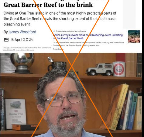Climate skeptic dismisses severity of Great Barrier Reef bleaching