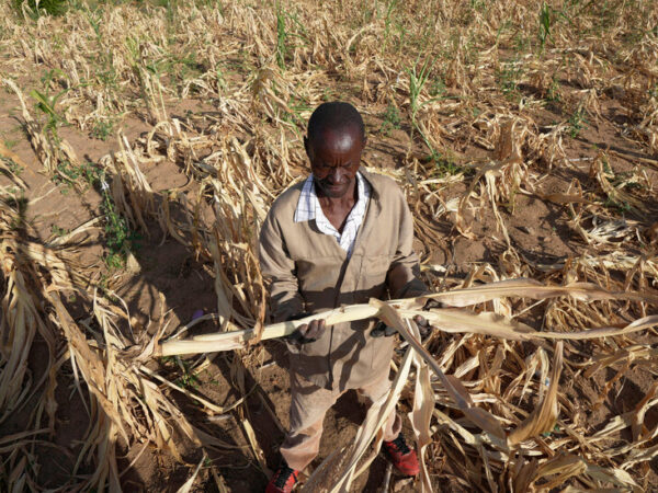 Drought Pushes Millions Into ‘Acute Hunger’ in Southern Africa