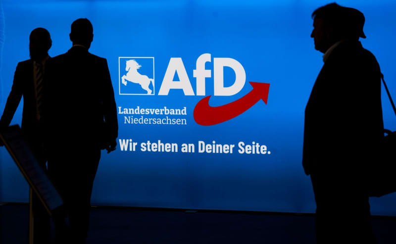 German far-right AfD in Saxony-Anhalt sues over ‘extremist’ label