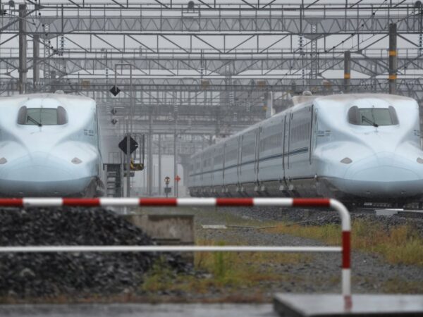 Stowaway snake causes delay for bullet train in Japan