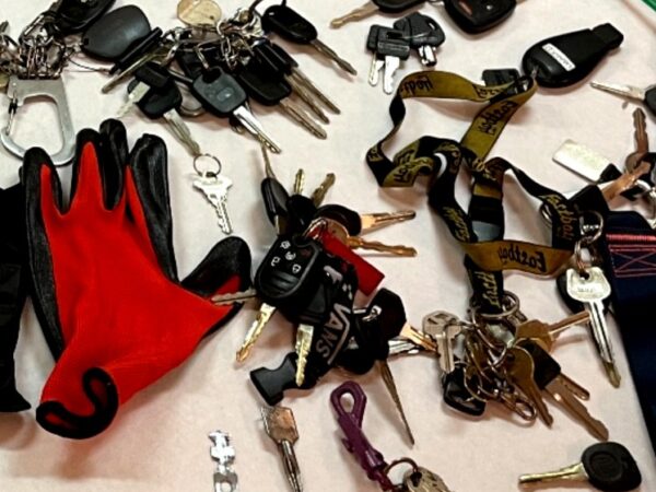 Convicted auto thief busted with cache of car keys in Brentwood