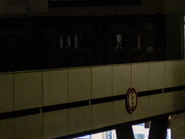 Friday Briefing – The New York Times