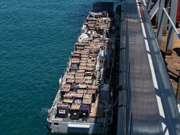 Gaza Gets Its First Aid Shipment from U.S. Pier: Israel-Hamas Latest Updates
