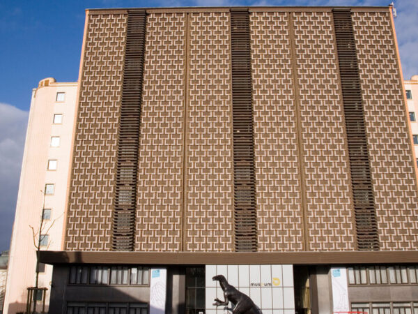 His Skull Was Taken From Congo as a War Trophy. Will Belgium Finally Return It?