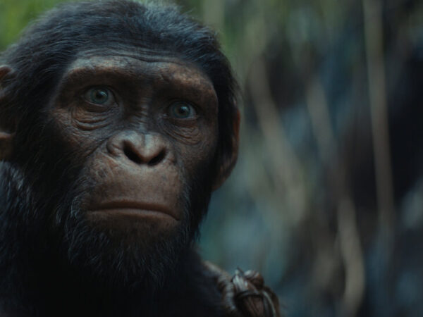 How a Village Comes to Life in ‘Kingdom of the Planet of the Apes’