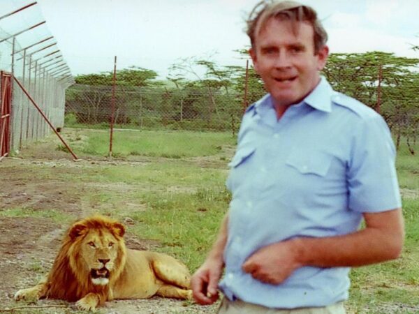 ‘I had a pee and saw a lioness peering at me’