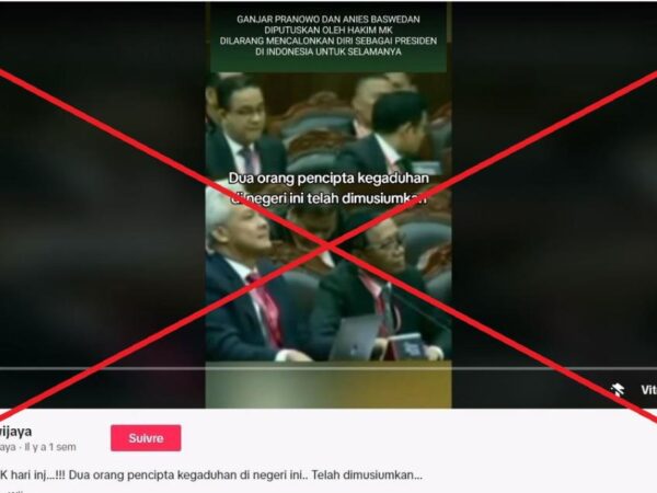 Indonesian constitutional court did not ‘ban presidential challengers from running for top job’