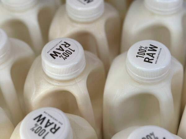 Milk Containing Bird-Flu Virus Can Sicken Mice, Study Finds