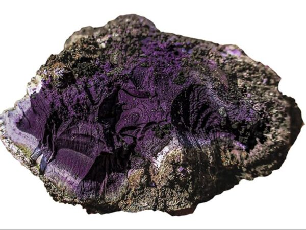 ‘Mysterious’ purple lump found at ancient Roman ruins was once ‘worth more than gold’