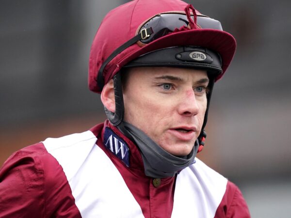 Shepherd thrilled with the BHA decision to stop Sunday night racing