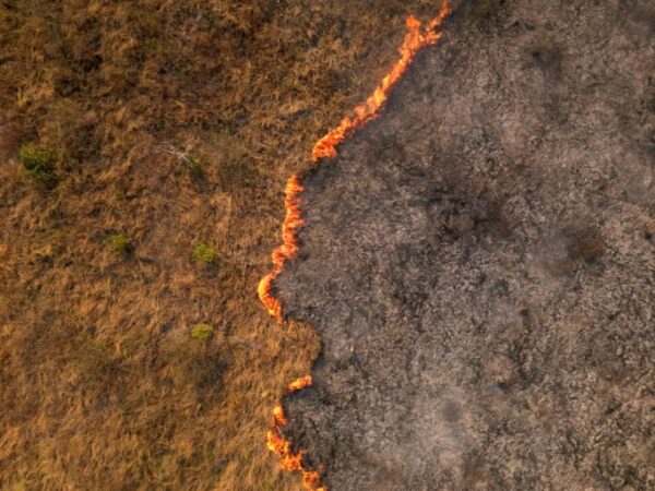 Brazil’s Pantanal wetlands hit by record fires