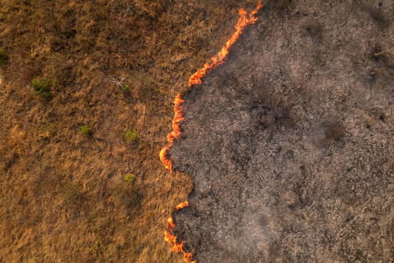 Brazil’s Pantanal wetlands hit by record fires Brazil’s Pantanal wetlands hit by record fires