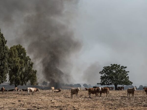 UN high commissioner warns of ‘full-scale’ Israel-Lebanon war