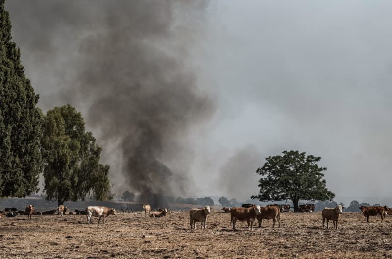 UN high commissioner warns of ‘full-scale’ Israel-Lebanon war