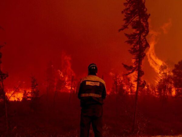 Wildfires ravage Arctic Circle, EU monitor reports