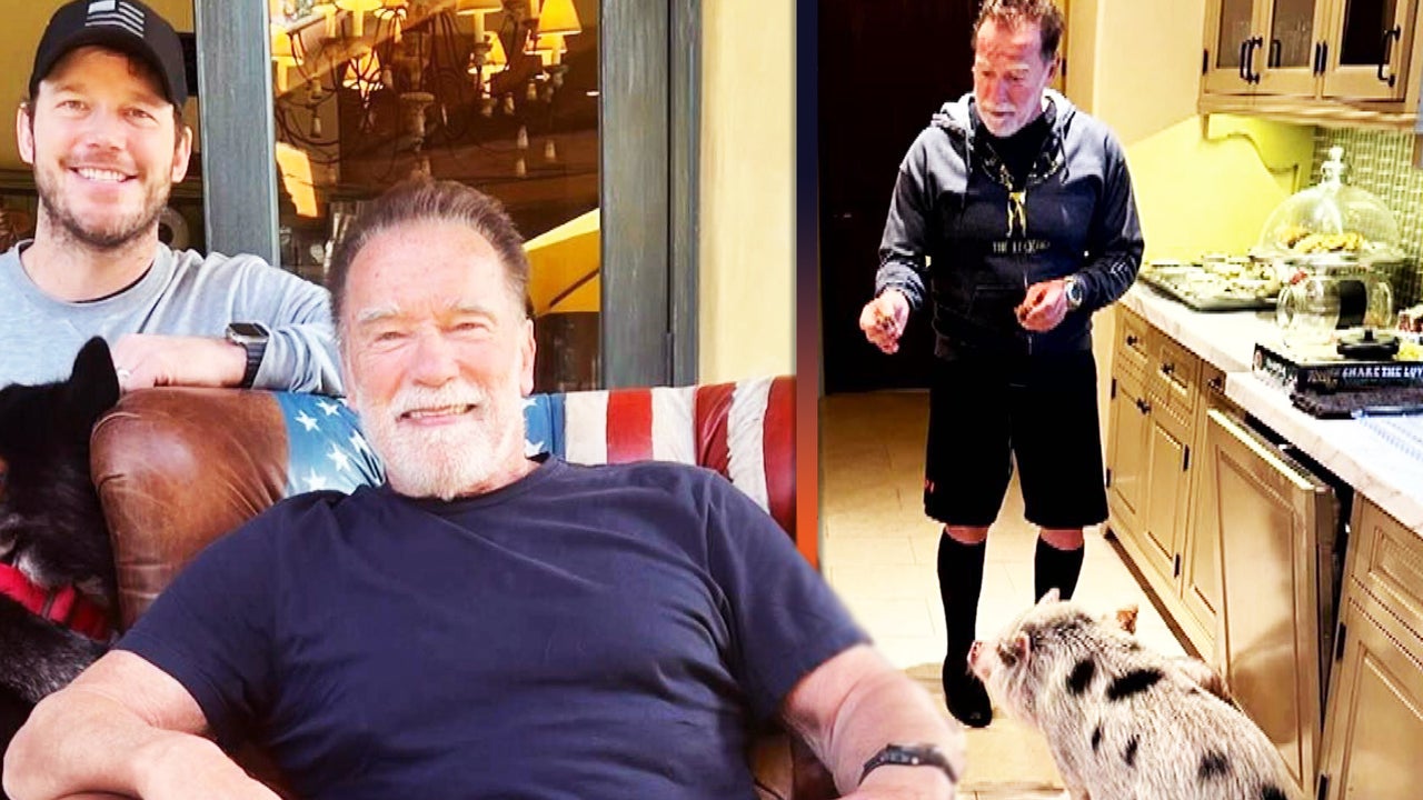 Chris Pratt Shares Sweet Birthday Tribute to Father-in-Law Arnold Schwarzenegger Featuring Pet Pig Chris Pratt Shares Sweet Birthday Tribute to Father-in-Law Arnold Schwarzenegger Featuring Pet Pig