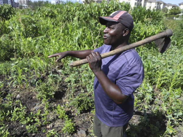 Farmers in Africa say their soil is dying and chemical fertilizers are in part to blame