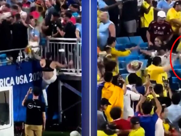 Nunez climbs into stands and involved in brawl with fans