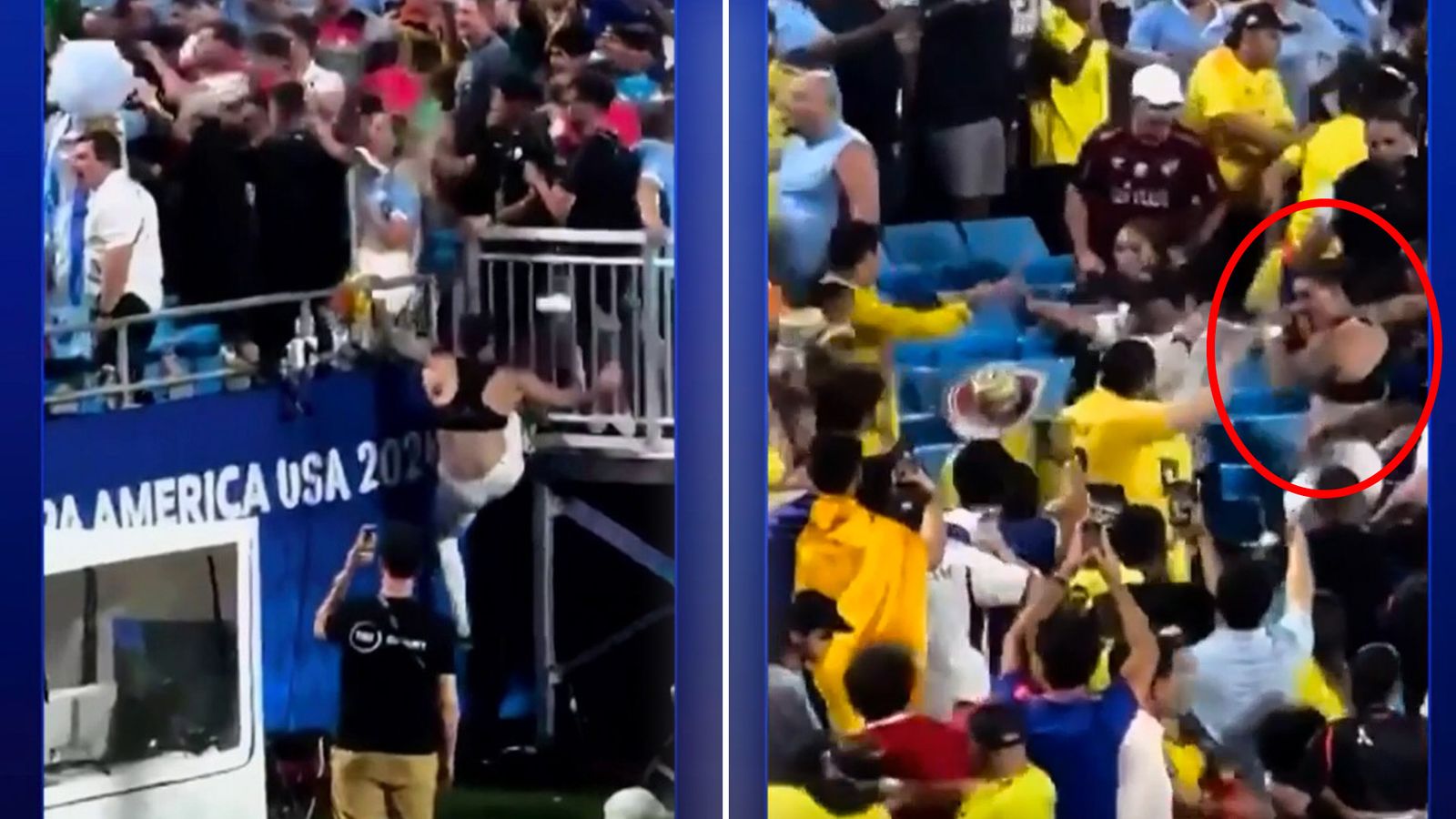Nunez climbs into stands and involved in brawl with fans Nunez climbs into stands and involved in brawl with fans